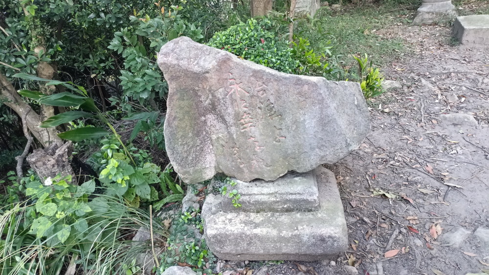 【北投・台北】2025年12月07日